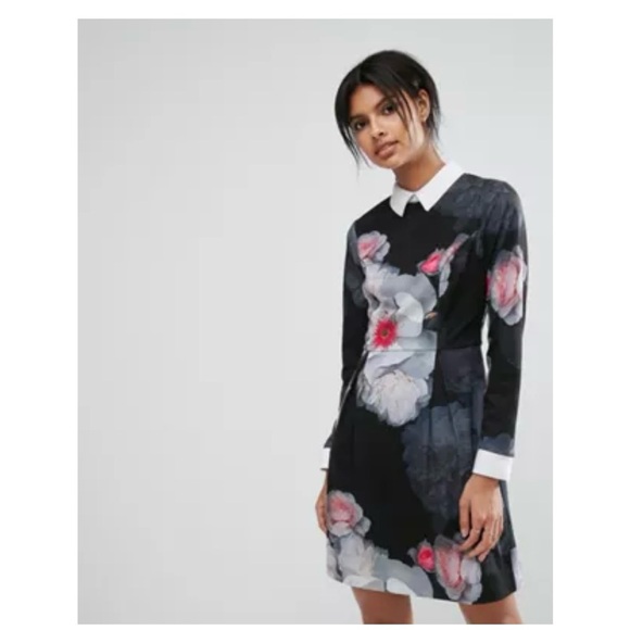 TED BAKER chelsea Floral collar dress size 2 - Picture 4 of 9
